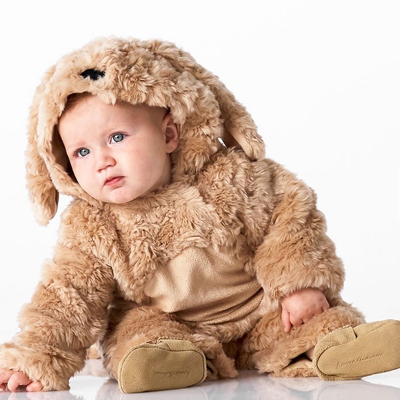 Pottery barn kids labradoodle dog costume - Picture 4 of 6